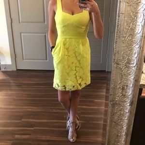 BCBG Tulip Dress